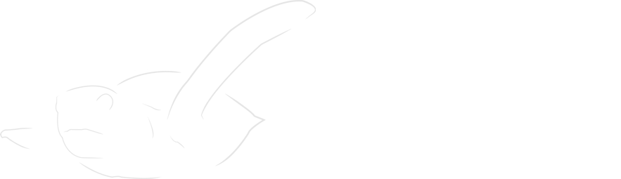 atuinuniverse.com